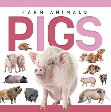 Sadie Hallworth - Pigs, Inbunden