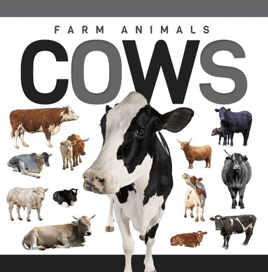 Eliza Nodes - Cows, Häftad