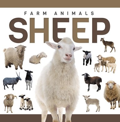 Eliza Nodes - Sheep, Häftad