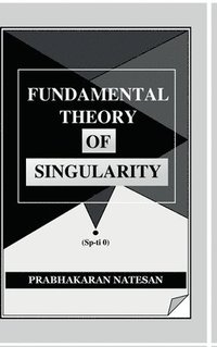 bokomslag Fundamental Theory of Singularity