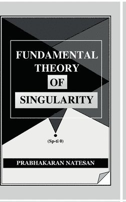 bokomslag Fundamental Theory of Singularity