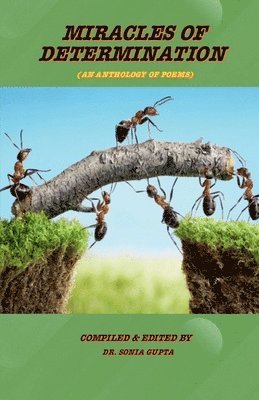 Miracles of Determination