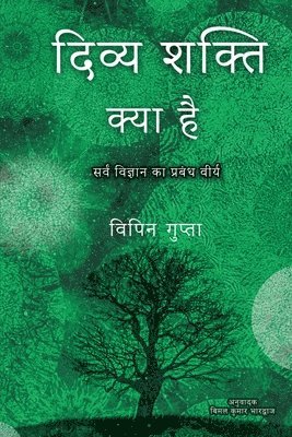 Vipin Gupta - Divya Shakti Kya Hai, Häftad