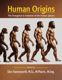 bokomslag Human Origins