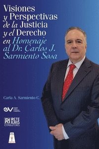 bokomslag VISIONES Y PERSPECTIVAS DE LA JUSTICIA Y EL DERECHO EN HOMENAJE AL DOCTOR CARLOS J. SARMIENTO SOSAj