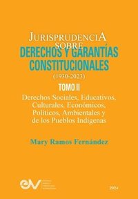 bokomslag JURISPRUDENCIA SOBRE DERECHOS Y GARANTÍAS CONSTITUCIONALES. 1930-2023. TOMO II. Derechos sociales, educativos, culturales, económicos, políticos, ambi