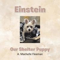 bokomslag Einstein - Our Shelter Puppy