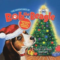 bokomslag Adventures of Bob the Beagle