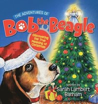 bokomslag Adventures of Bob the Beagle