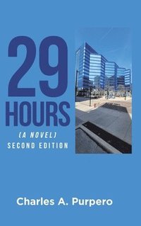 bokomslag 29 Hours (A Novel)