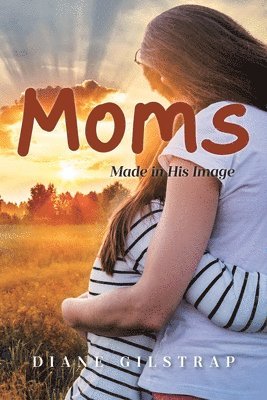 bokomslag Moms
