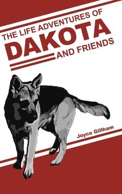 bokomslag Life Adventures of Dakota and Friends