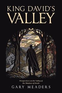 bokomslag King David's Valley: Perspectives on the Valley of the Shadow of Death