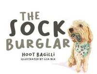 bokomslag Sock Burglar