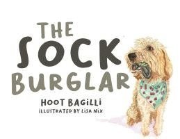 Sock Burglar 1