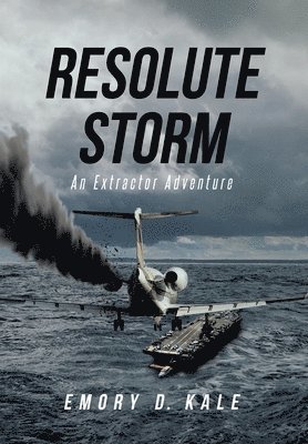 bokomslag Resolute Storm
