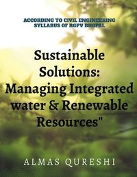 bokomslag Sustainable Solutions