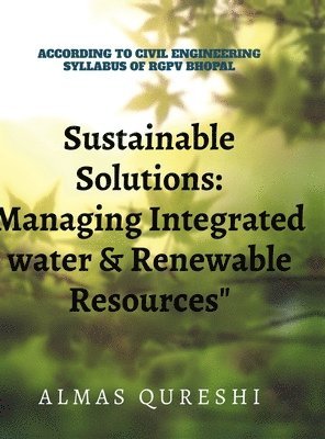 bokomslag Sustainable Solutions