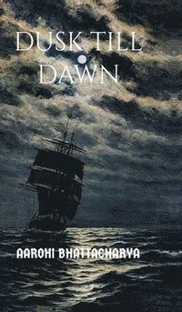 bokomslag Dusk till dawn