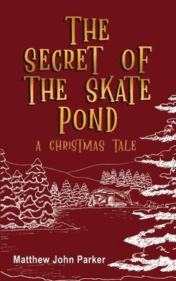 bokomslag Secret of the Skate Pond