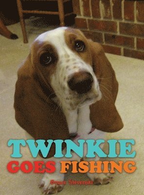 bokomslag Twinkie Goes Fishing