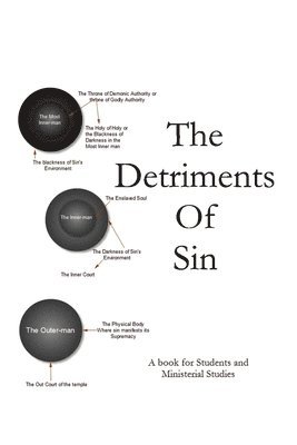bokomslag Detriments of Sin
