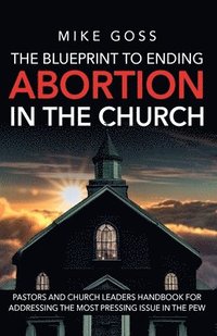 bokomslag Blueprint to Ending Abortion in the Church