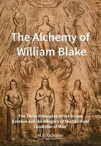 bokomslag The Alchemy of William Blake