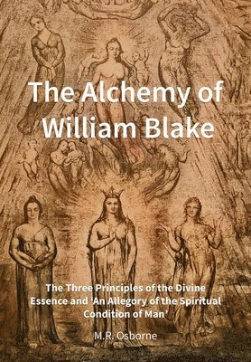 M R Osborne, M. R. Osborne, M.R. Osborne - Alchemy of William Blake, Inbunden