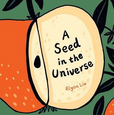 A Seed in the Universe 1