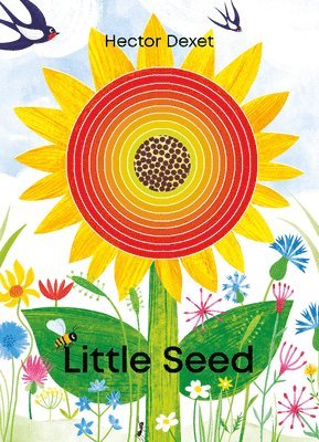 Little Seed 1