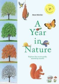 bokomslag A Year in Nature: Explore the Countryside, Month by Month