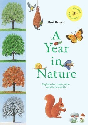 bokomslag A Year in Nature: Explore the Countryside, Month by Month