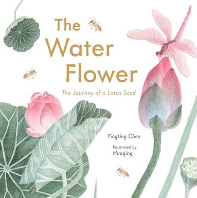 bokomslag The Water Flower: The Journey of a Lotus Seed