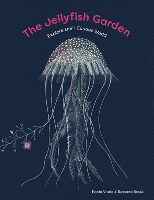 bokomslag The Jellyfish Garden: Explore Their Curious World