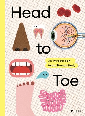 bokomslag Head to Toe: An Introduction to the Human Body