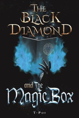 bokomslag Black Diamond and the Magic Box