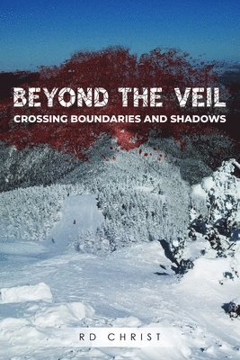 bokomslag Beyond the Veil