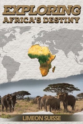 bokomslag Exploring Africa's Destiny