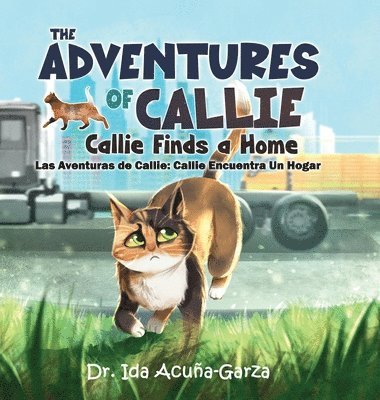 bokomslag The Adventures of Callie: Callie Finds a Home: (Las Aventuras de Callie: Callie Encuentra Un Hogar)