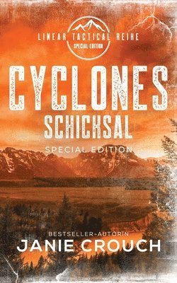 bokomslag Cyclones Schicksal