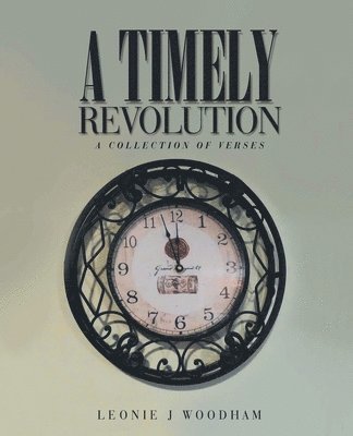 bokomslag Timely Revolution