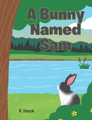 bokomslag Bunny Named Sam