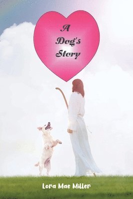 bokomslag Dog's Story