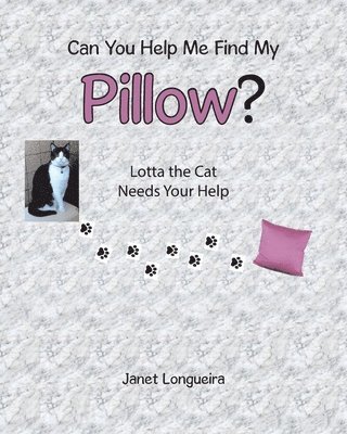 bokomslag Can You Help Me Find My Pillow?