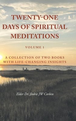 bokomslag Twenty-One Days of Spiritual Meditations