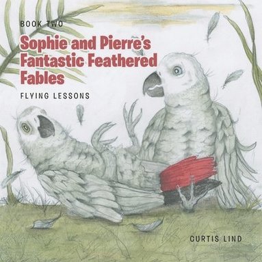 bokomslag Sophie and Pierre's Fantastic Feathered Fables