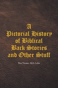 bokomslag Pictorial History of Biblical Back Stories and Other Stuff