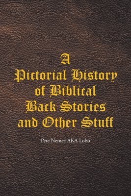 bokomslag Pictorial History of Biblical Back Stories and Other Stuff