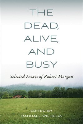 bokomslag Dead, Alive, and Busy